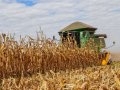 Confira informações do boletim de monitoramento agrícola da Conab para julho de 2023