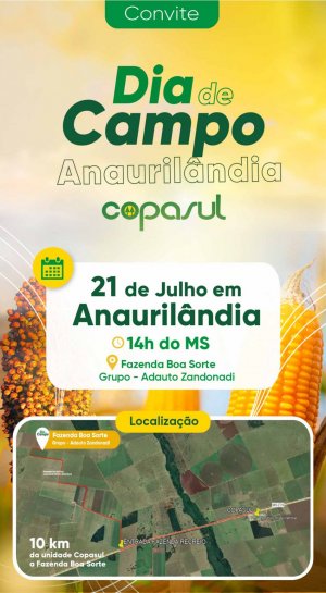 Dia de Campo Copasul Anaurilândia - safrinha 2023