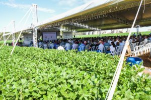 jornada técnica da soja copasul 2023